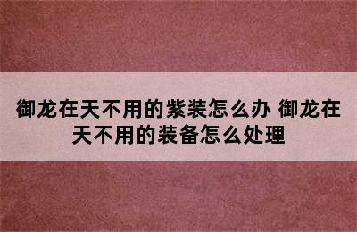 御龙在天不用的紫装怎么办 御龙在天不用的装备怎么处理